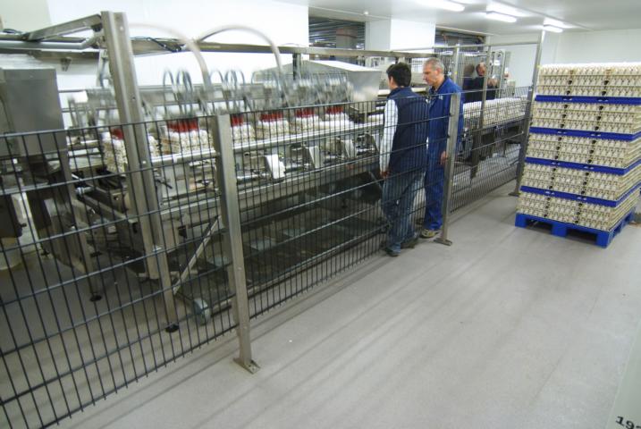 K640 Egg-Grading-Company